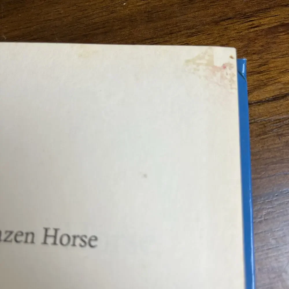 Pony Hardcover Chapter Books For Middle Grade Readers, Lot of 3, Horse Riding